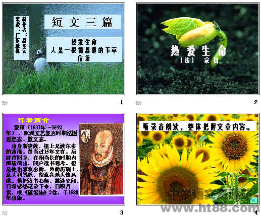 鿴Ԥͼ