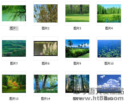 查看预览图