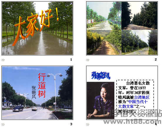 鿴Ԥͼ