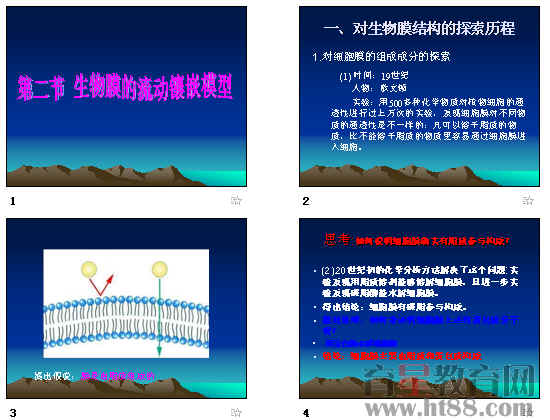 鿴Ԥͼ