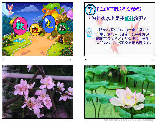 鿴Ԥͼ