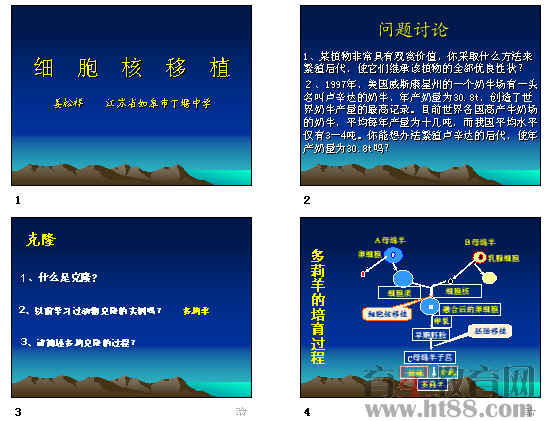 鿴Ԥͼ
