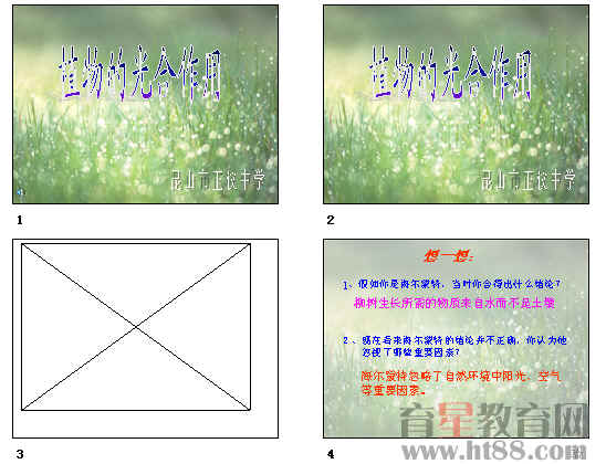 鿴Ԥͼ
