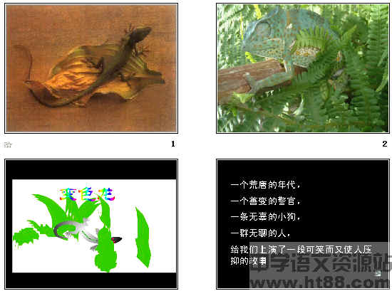 鿴Ԥͼ