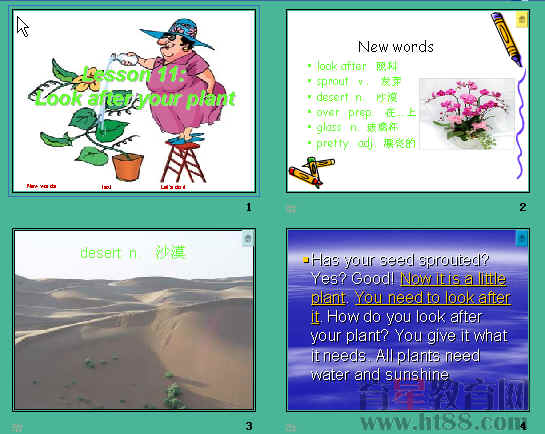 鿴Ԥͼ