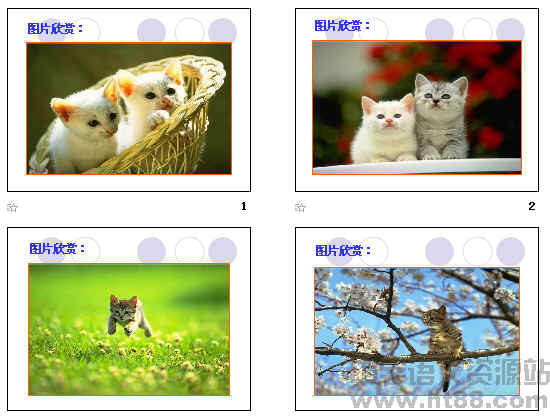 鿴Ԥͼ
