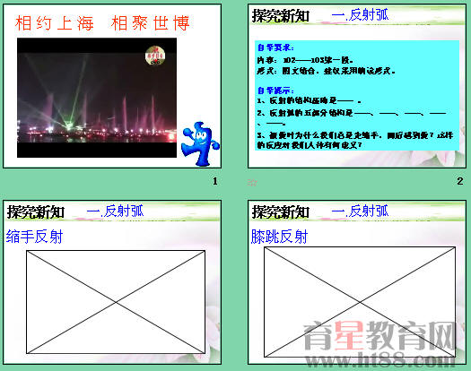 鿴Ԥͼ