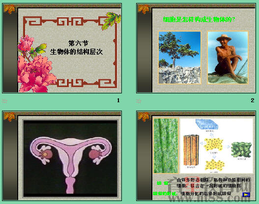 鿴Ԥͼ