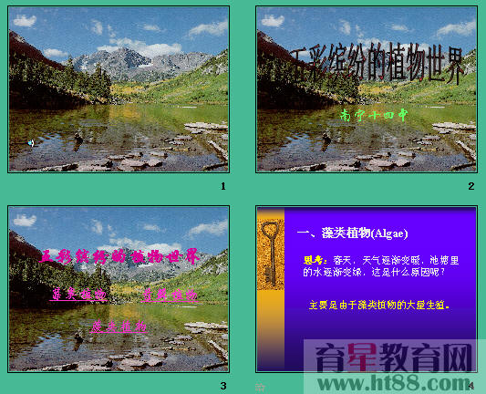 鿴Ԥͼ