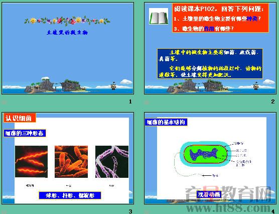 鿴Ԥͼ
