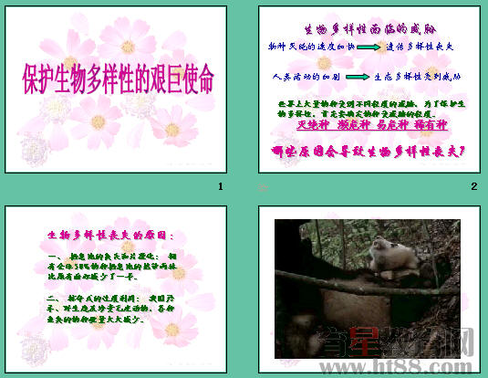 鿴Ԥͼ