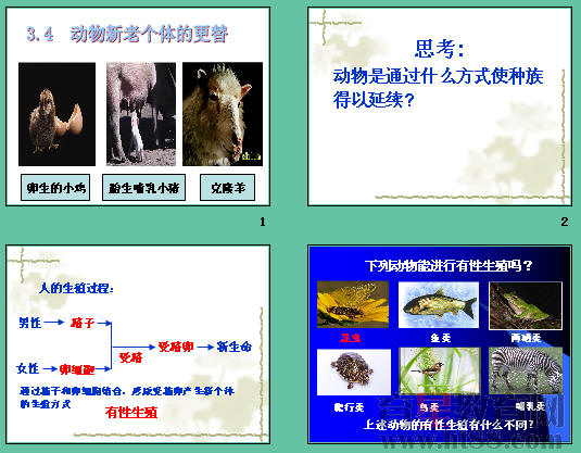 鿴Ԥͼ