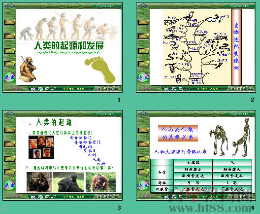 鿴Ԥͼ