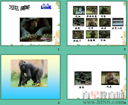 鿴Ԥͼ