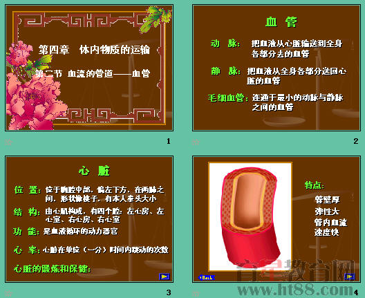鿴Ԥͼ