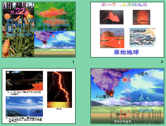 鿴Ԥͼ