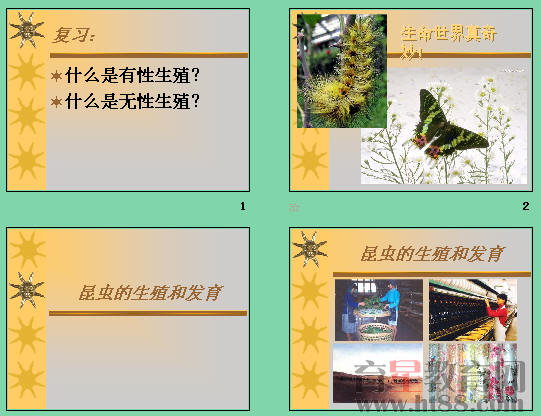 鿴Ԥͼ
