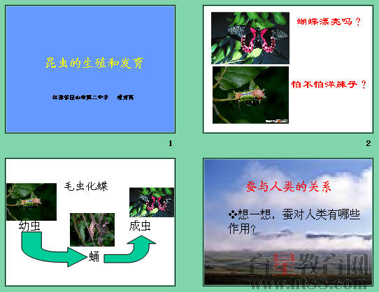 鿴Ԥͼ