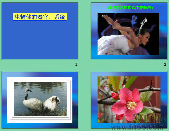 鿴Ԥͼ