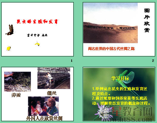 鿴Ԥͼ
