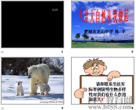 鿴Ԥͼ
