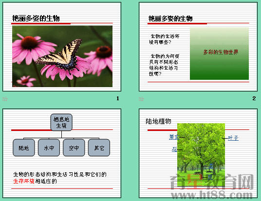鿴Ԥͼ