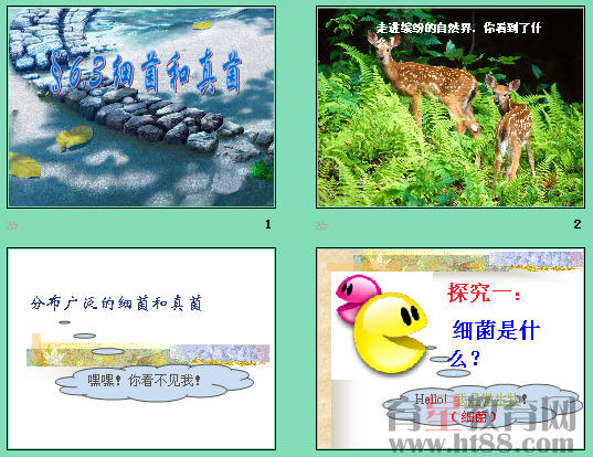 鿴Ԥͼ