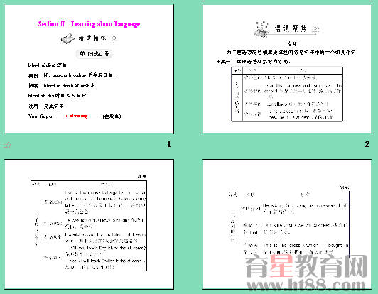 鿴Ԥͼ