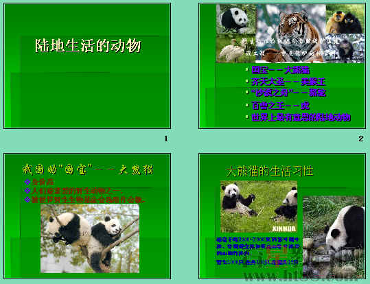 鿴Ԥͼ