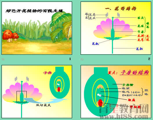 鿴Ԥͼ