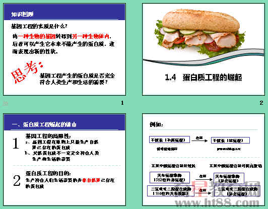 鿴Ԥͼ