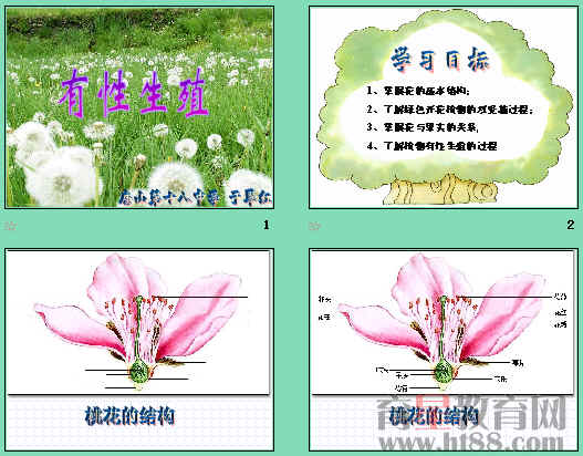 鿴Ԥͼ