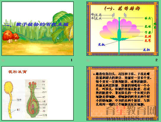 鿴Ԥͼ