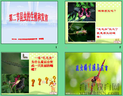 鿴Ԥͼ