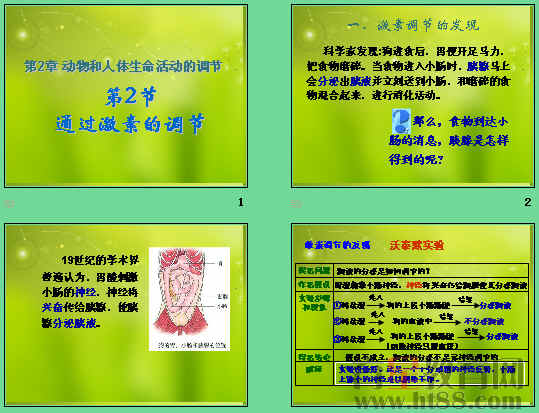 鿴Ԥͼ