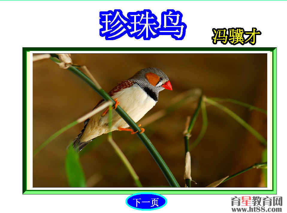 鿴Ԥͼ