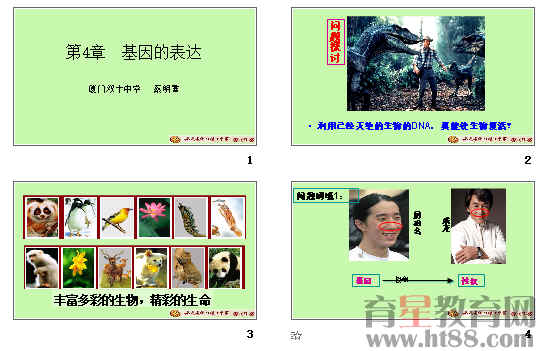鿴Ԥͼ