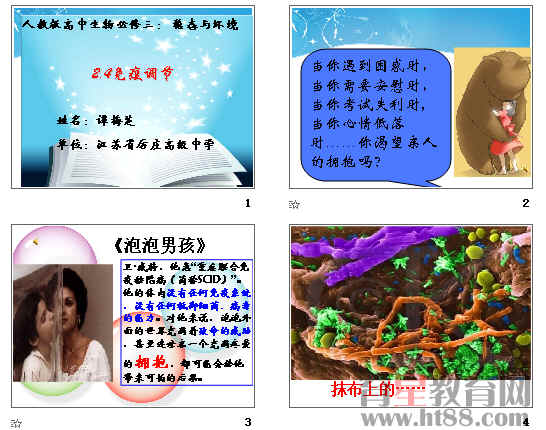 鿴Ԥͼ