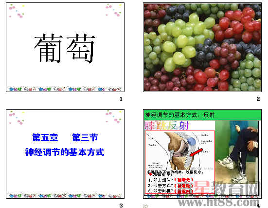 鿴Ԥͼ