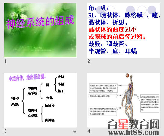 鿴Ԥͼ
