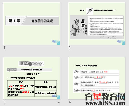 鿴Ԥͼ