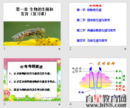 鿴Ԥͼ