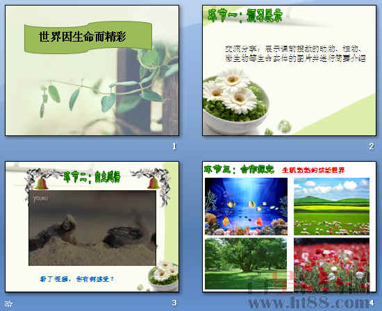 鿴Ԥͼ