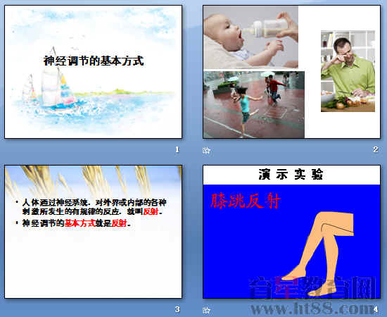 鿴Ԥͼ