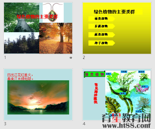 鿴Ԥͼ