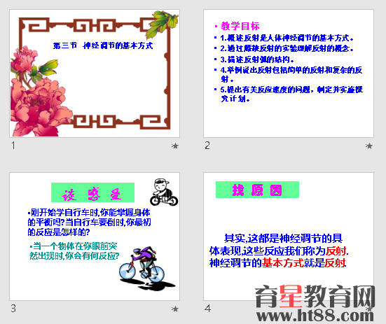 鿴Ԥͼ
