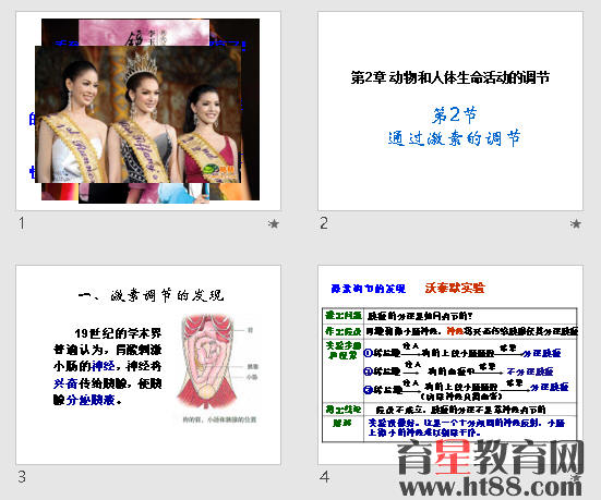 鿴Ԥͼ
