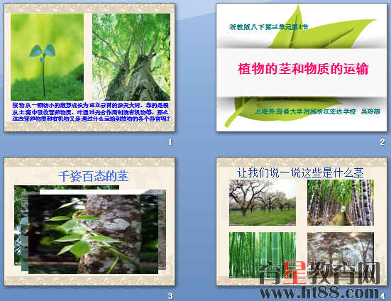 鿴Ԥͼ