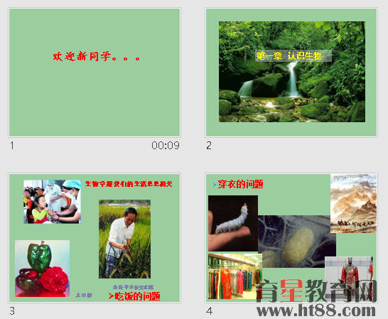 鿴Ԥͼ