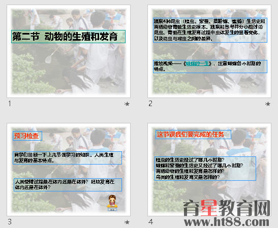 鿴Ԥͼ